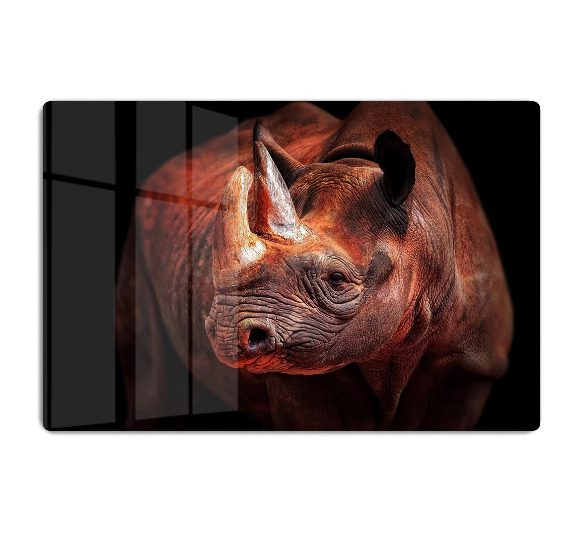 Rhino Posing HD Metal Print - Canvas Art Rocks - 1