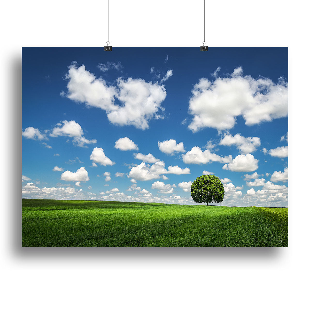 Lonely Tree Canvas Print or Poster - Canvas Art Rocks - 2