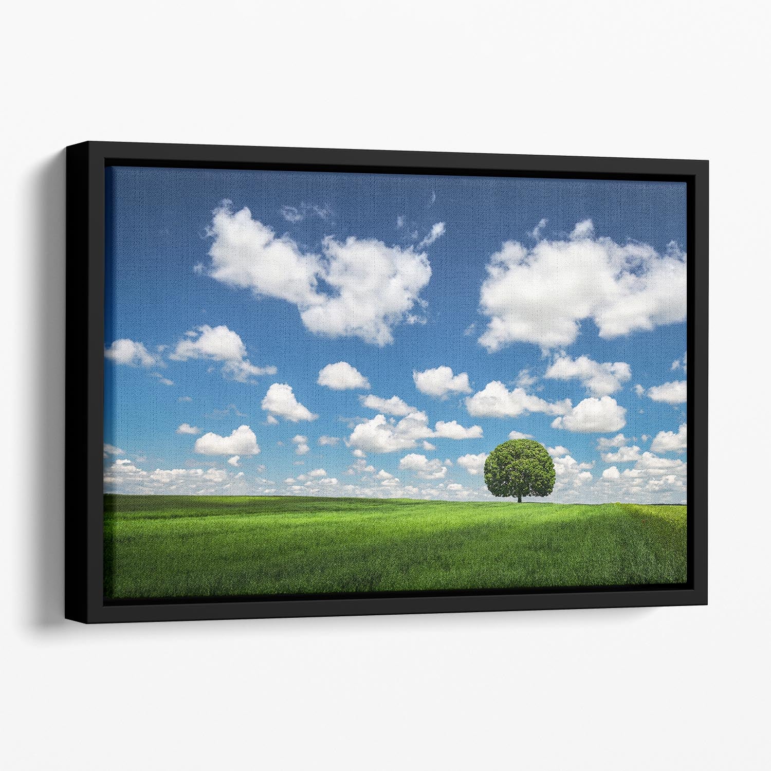 Lonely Tree Floating Framed Canvas - Canvas Art Rocks - 1