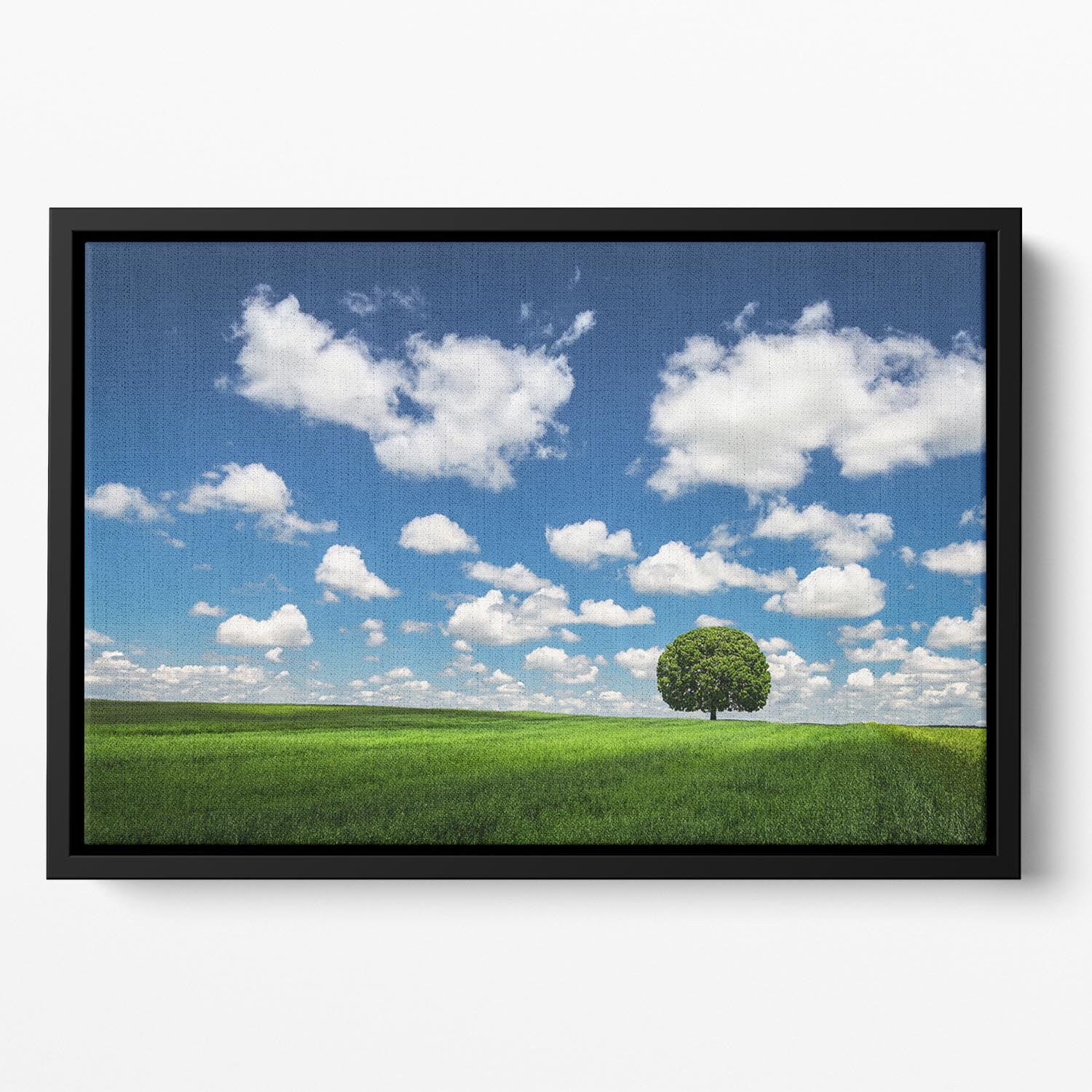 Lonely Tree Floating Framed Canvas - Canvas Art Rocks - 2