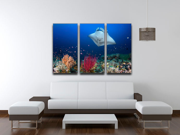 Ocean Manta Ray On The Reef 3 Split Panel Canvas Print - Canvas Art Rocks - 3