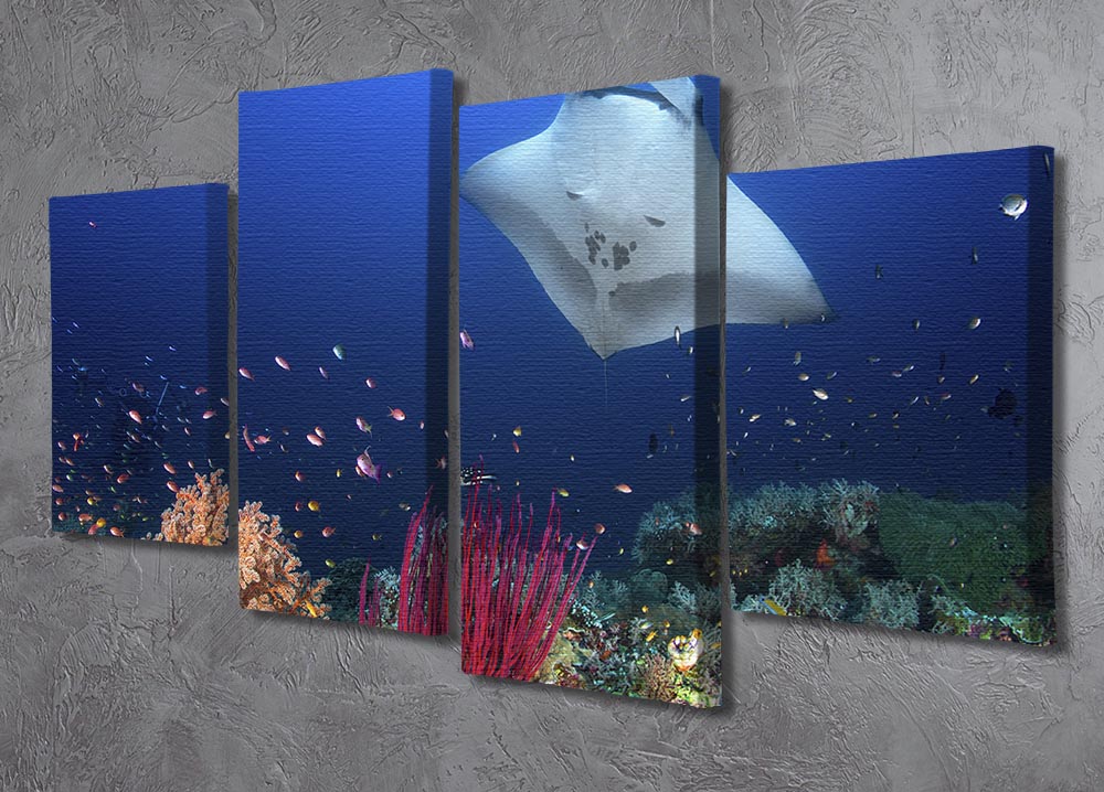 Ocean Manta Ray On The Reef 4 Split Panel Canvas - Canvas Art Rocks - 2