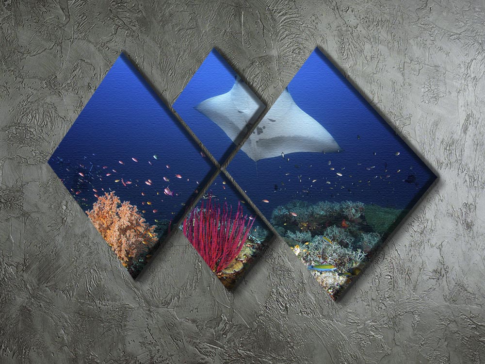 Ocean Manta Ray On The Reef 4 Square Multi Panel Canvas - Canvas Art Rocks - 2