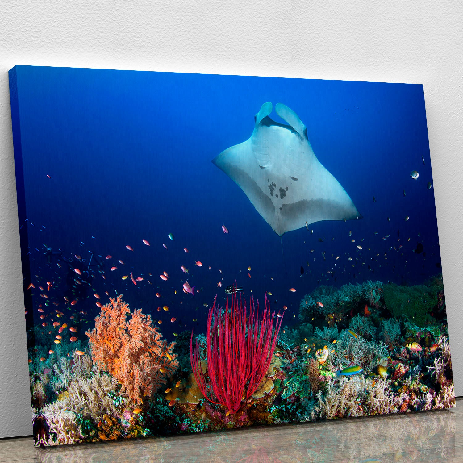 Ocean Manta Ray On The Reef Canvas Print or Poster - Canvas Art Rocks - 1