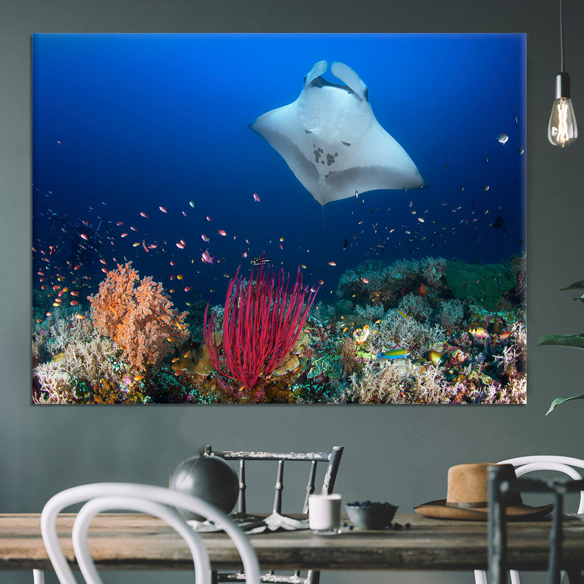 Ocean Manta Ray On The Reef Canvas Print or Poster - Canvas Art Rocks - 3