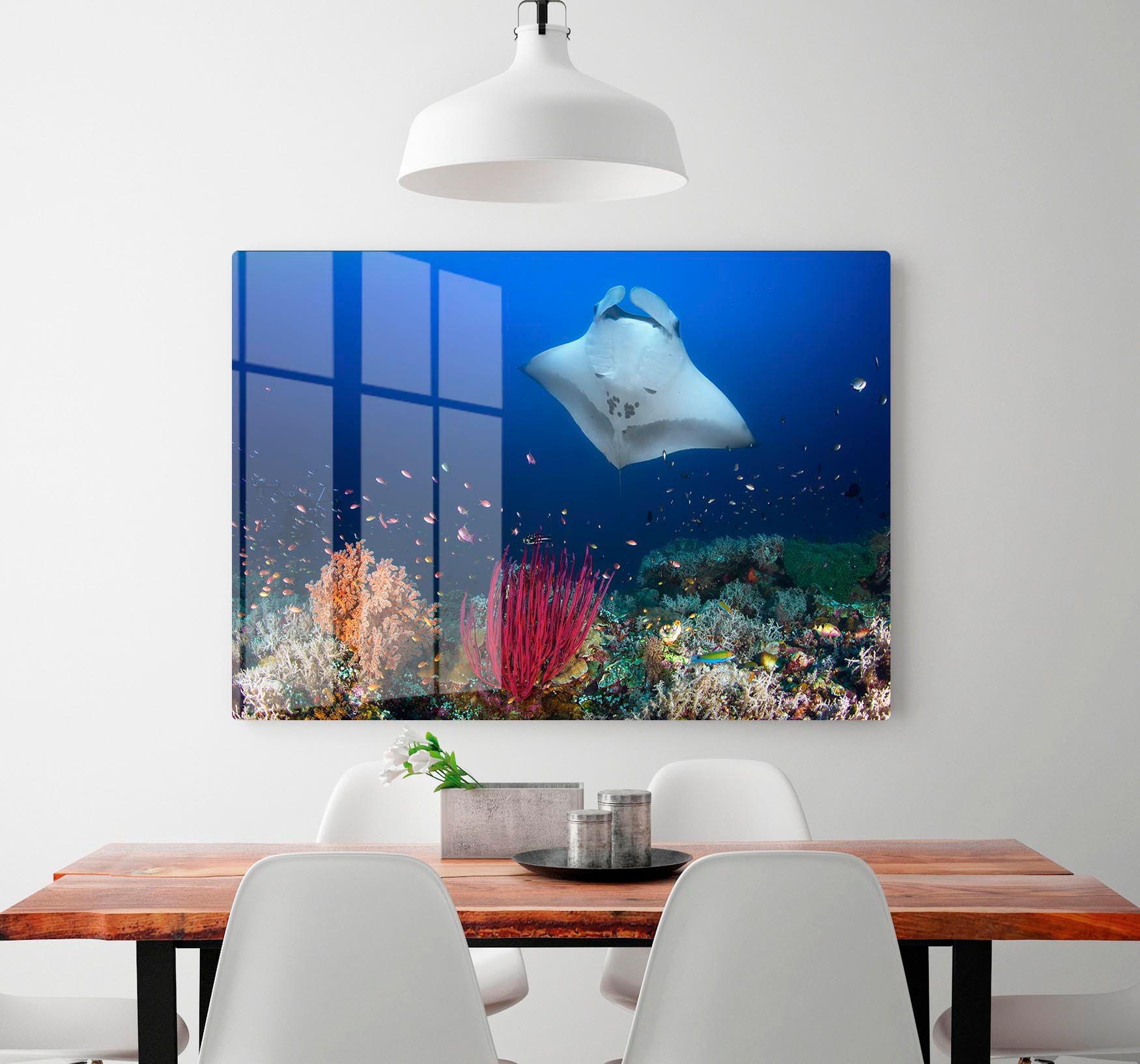 Ocean Manta Ray On The Reef HD Metal Print - Canvas Art Rocks - 2