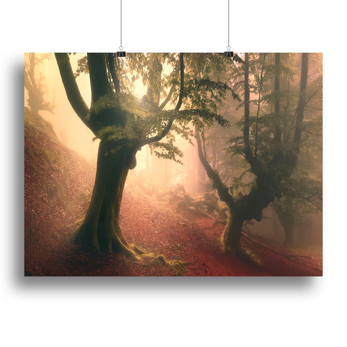 Fangorn Forest Canvas Print or Poster - Canvas Art Rocks - 2