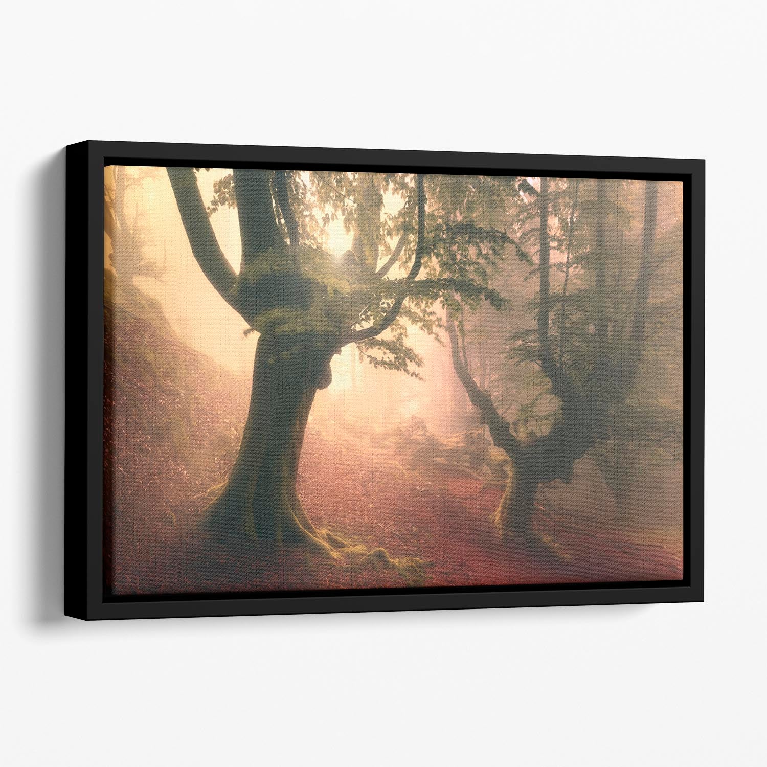 Fangorn Forest Floating Framed Canvas - Canvas Art Rocks - 1