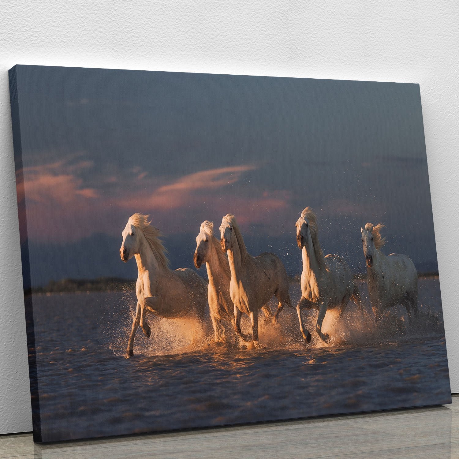 Camargue horses on sunset Canvas Print or Poster - Canvas Art Rocks - 1
