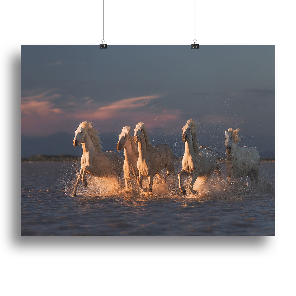 Camargue horses on sunset Canvas Print or Poster - Canvas Art Rocks - 2