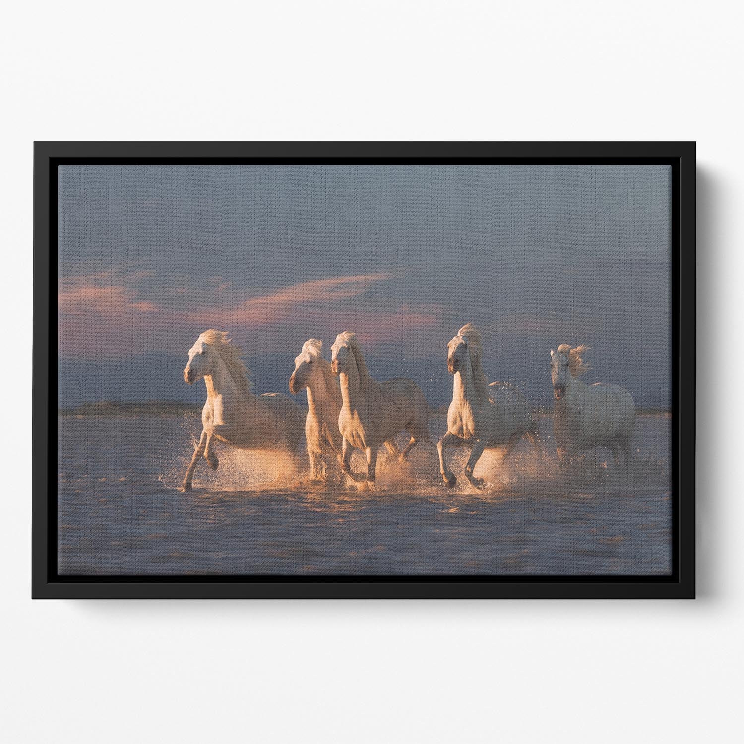 Camargue horses on sunset Floating Framed Canvas - Canvas Art Rocks - 2