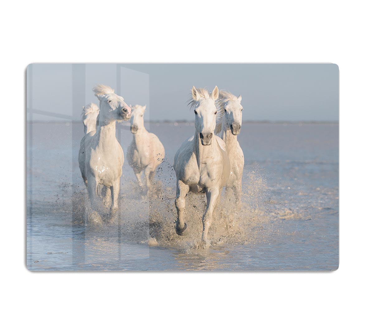 Running White Horses HD Metal Print - Canvas Art Rocks - 1