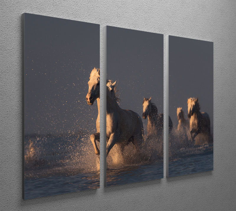 Horses in sunset light 3 Split Panel Canvas Print - Canvas Art Rocks - 2