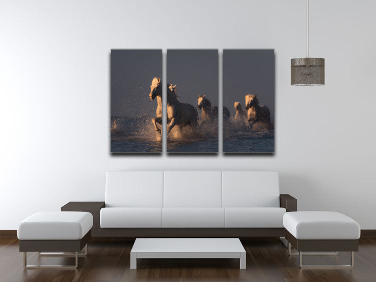 Horses in sunset light 3 Split Panel Canvas Print - Canvas Art Rocks - 3