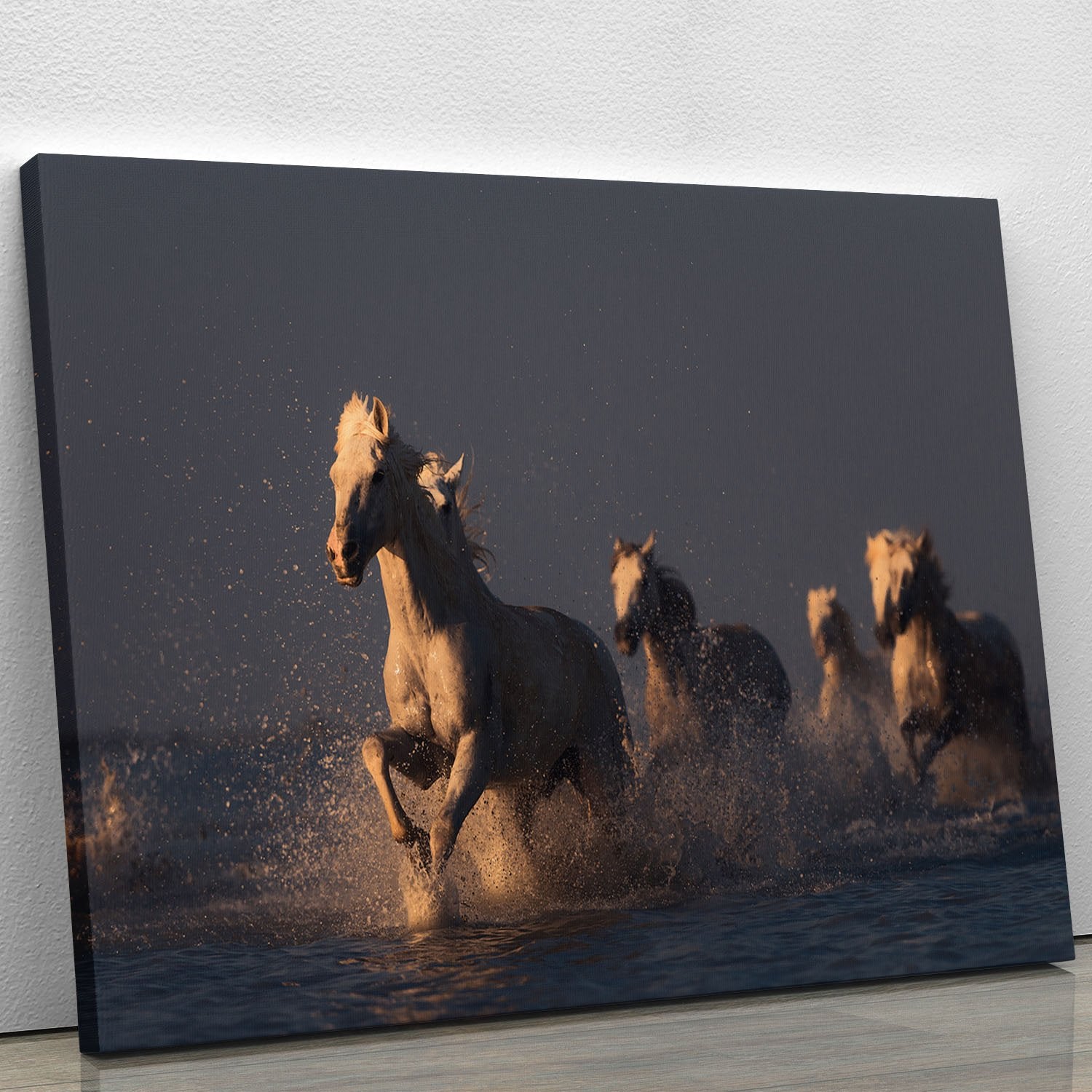 Horses in sunset light Canvas Print or Poster - Canvas Art Rocks - 1