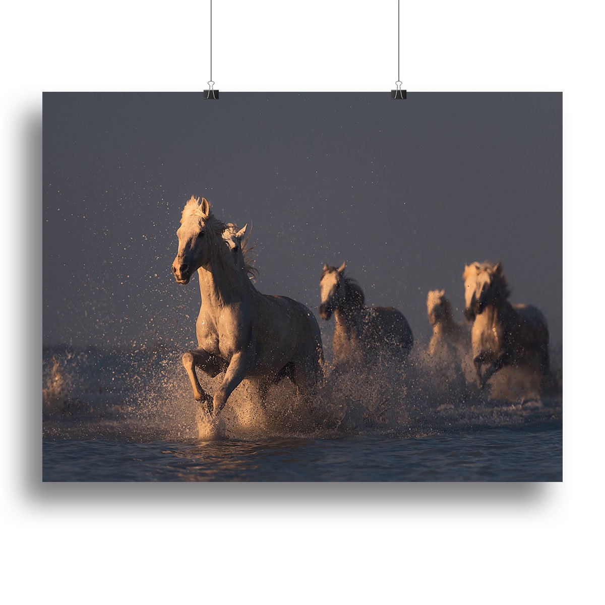 Horses in sunset light Canvas Print or Poster - Canvas Art Rocks - 2