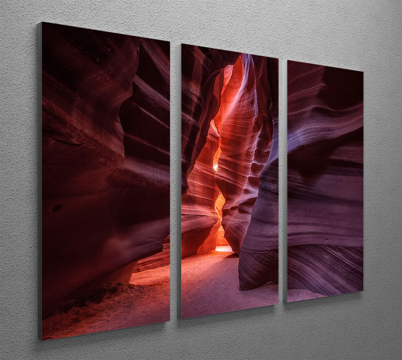 Antelope 3 Split Panel Canvas Print - Canvas Art Rocks - 2
