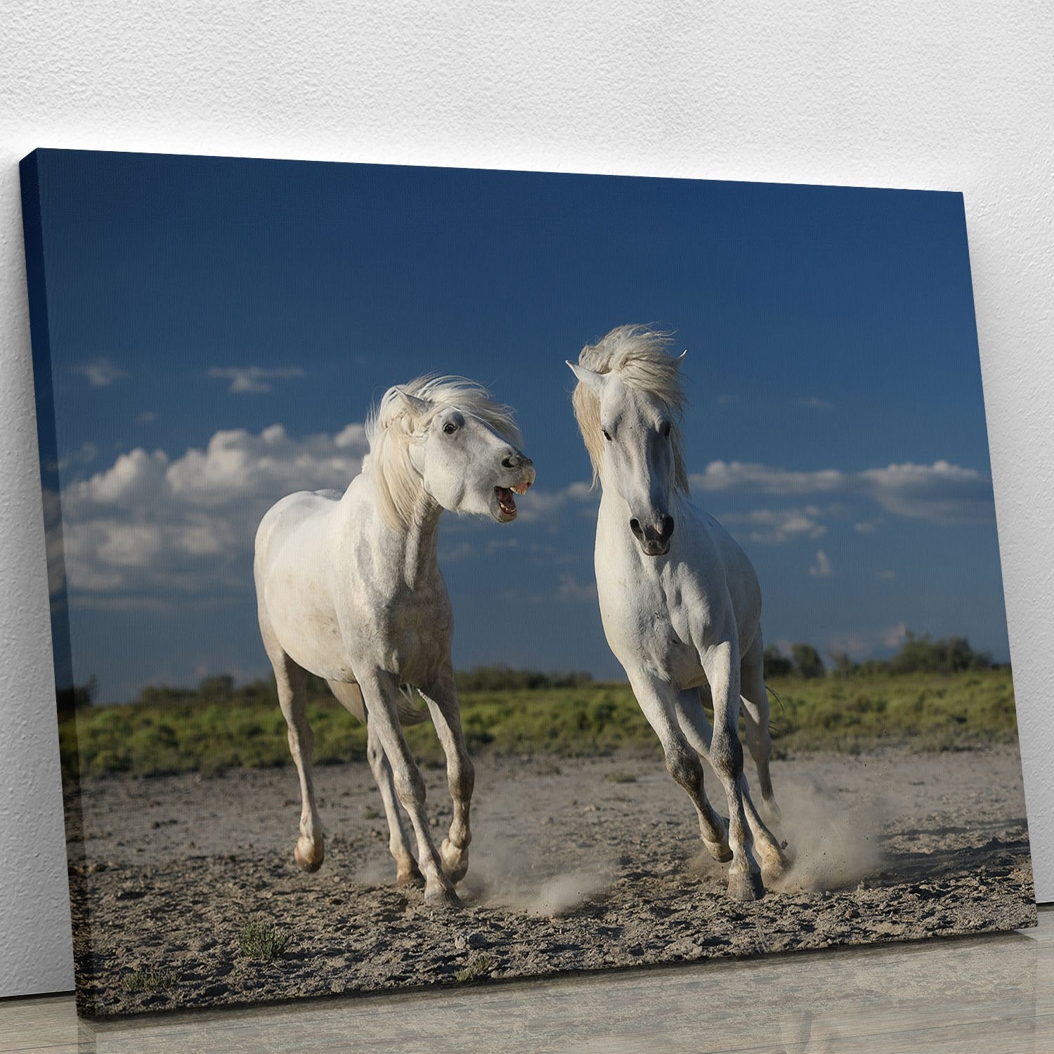 White Beach Horses Canvas Print or Poster - Canvas Art Rocks - 1