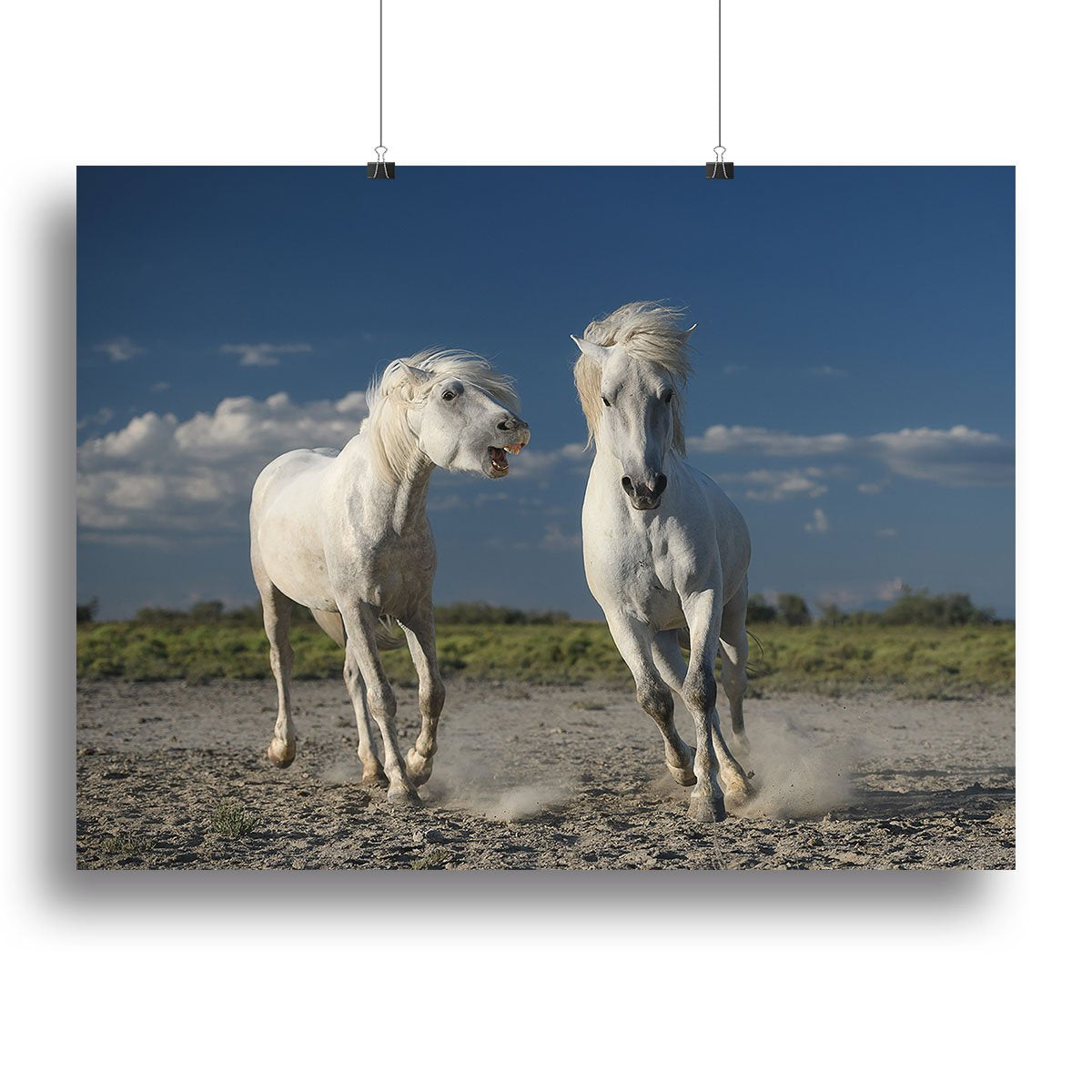 White Beach Horses Canvas Print or Poster - Canvas Art Rocks - 2