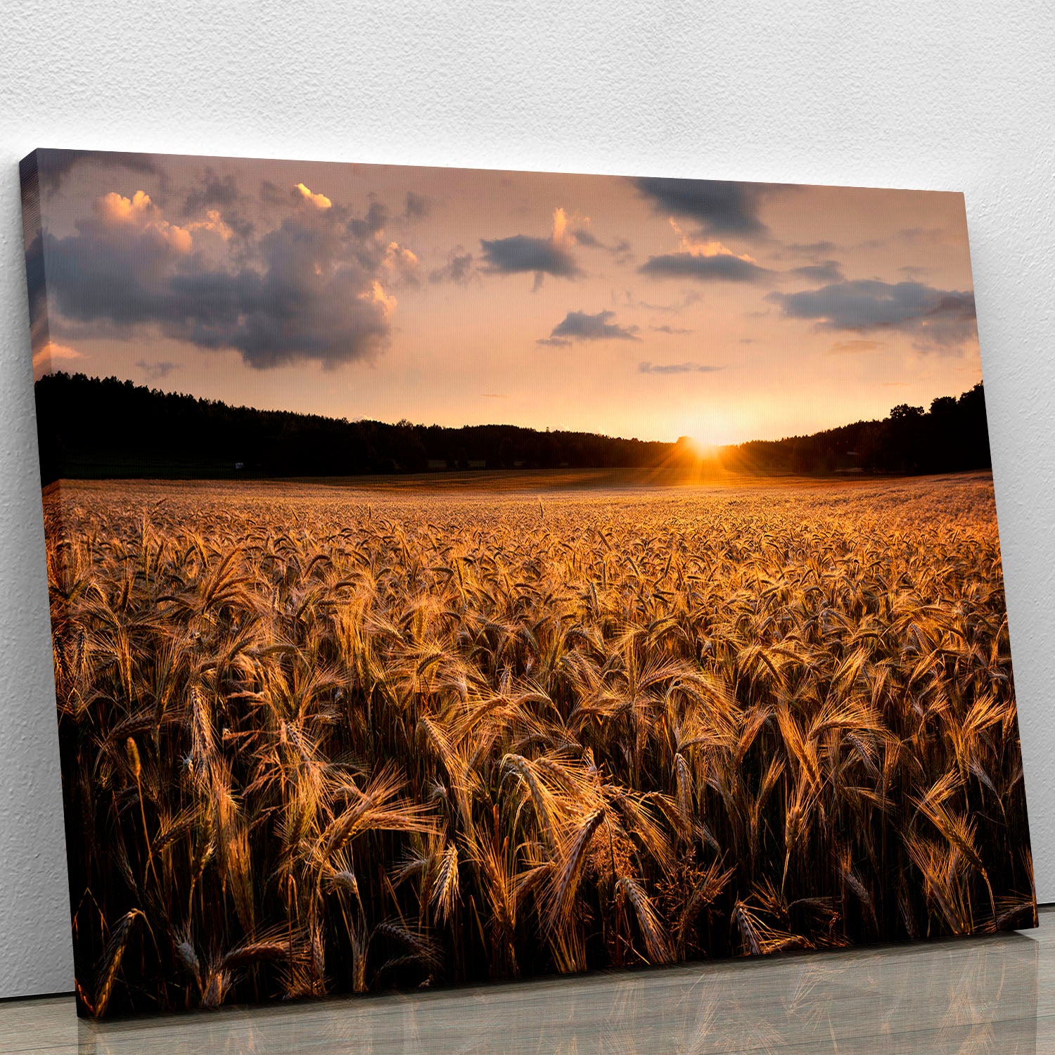 Fields Of Gold Canvas Print or Poster - Canvas Art Rocks - 1