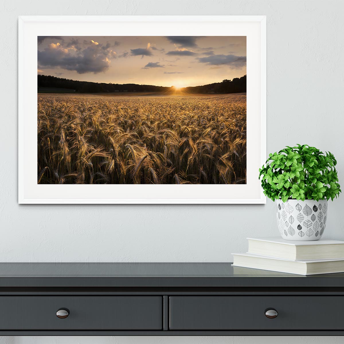 Fields Of Gold Framed Print - Canvas Art Rocks - 5