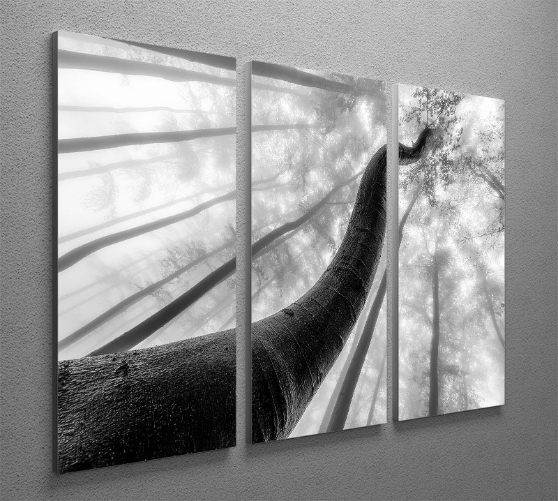 Tree Shapes 3 Split Panel Canvas Print - Canvas Art Rocks - 2