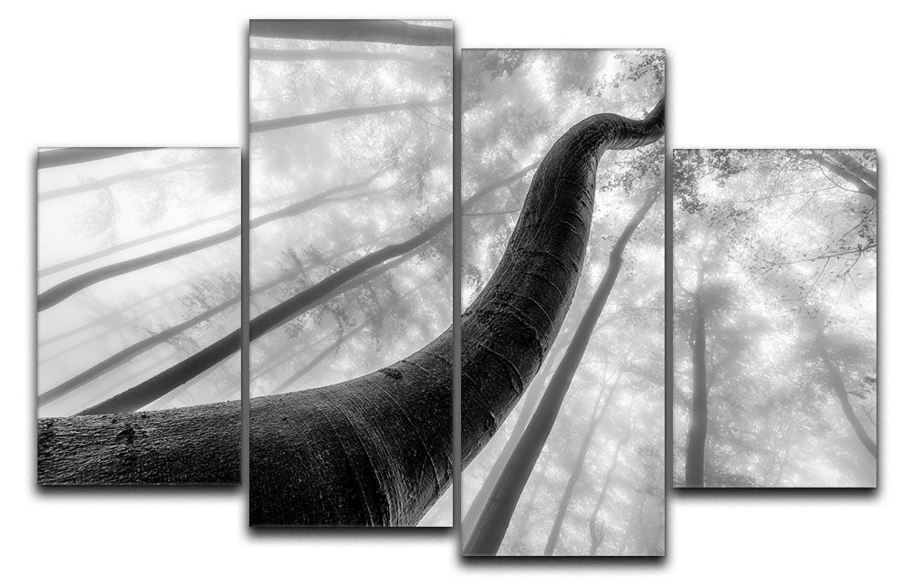 Tree Shapes 4 Split Panel Canvas - Canvas Art Rocks - 1