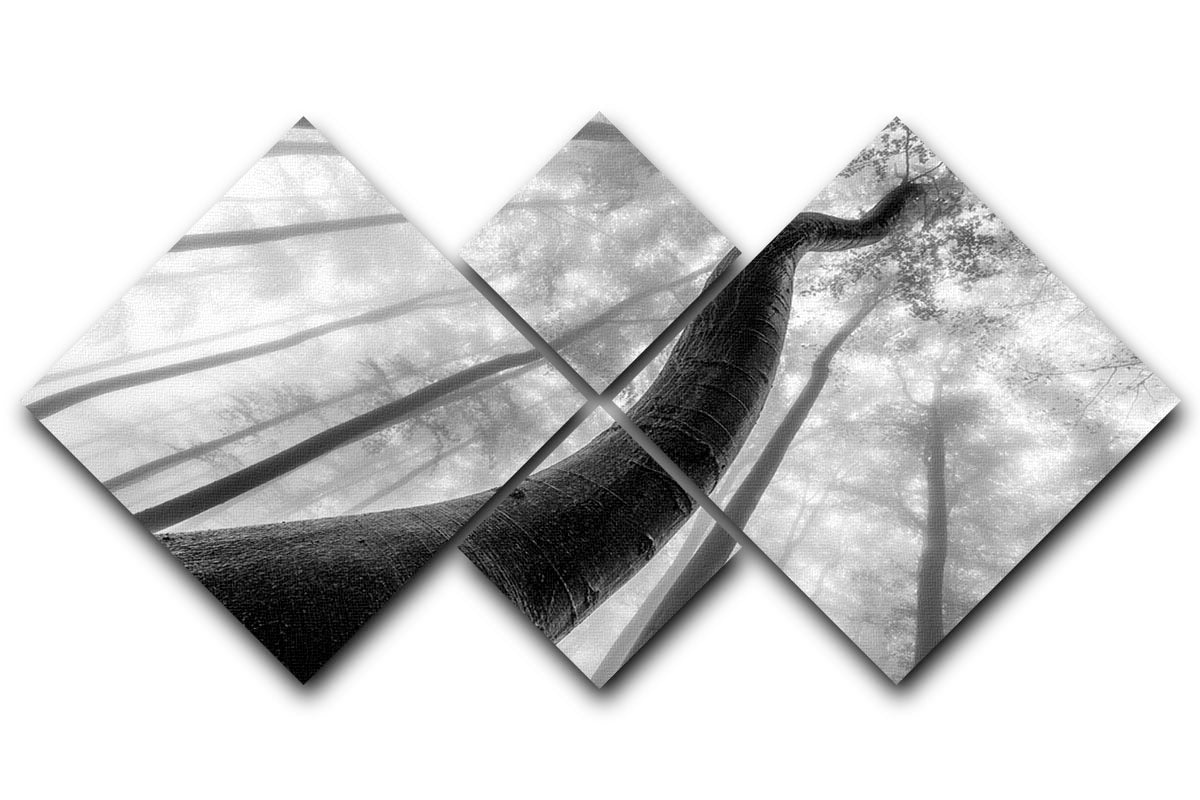 Tree Shapes 4 Square Multi Panel Canvas - Canvas Art Rocks - 1