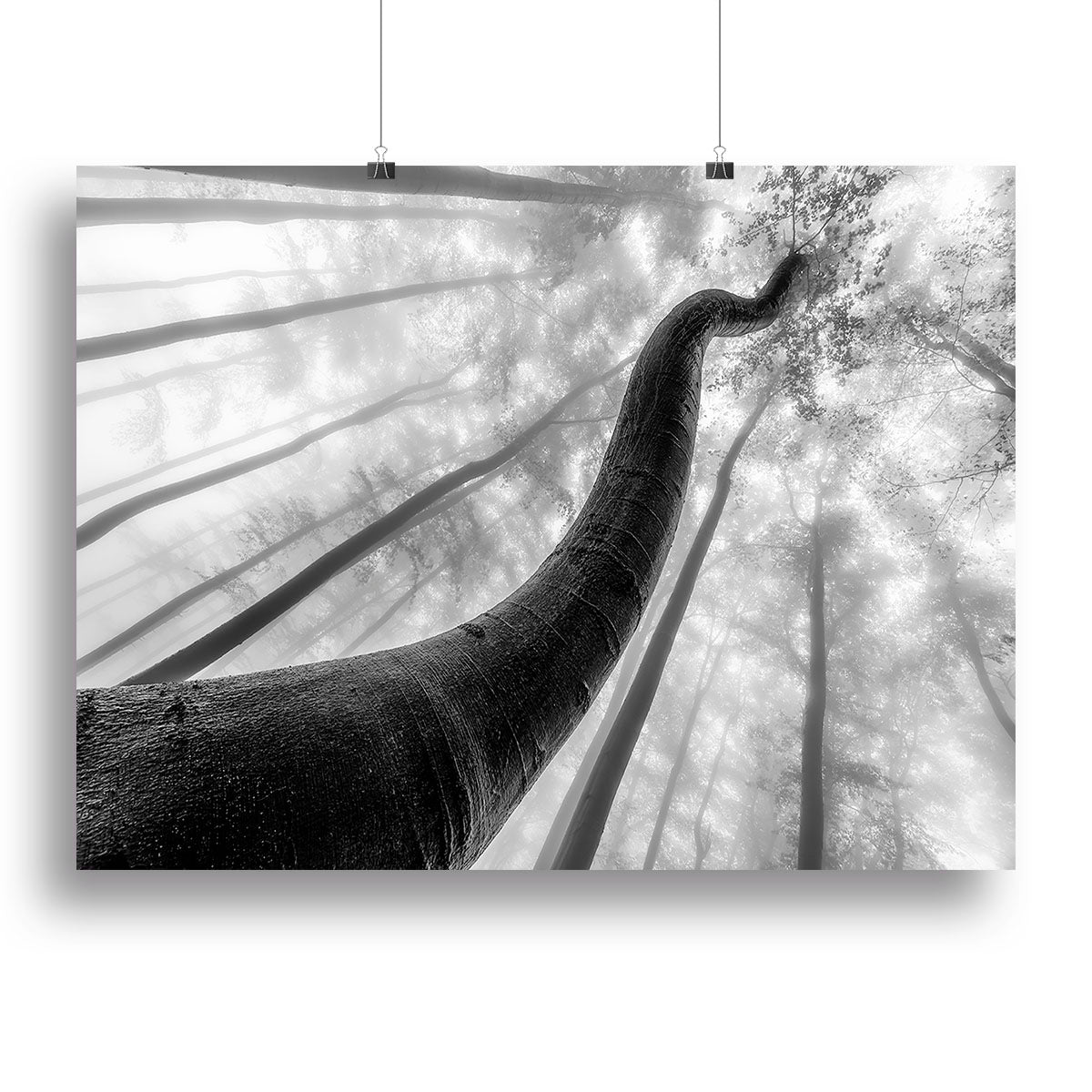 Tree Shapes Canvas Print or Poster - Canvas Art Rocks - 2