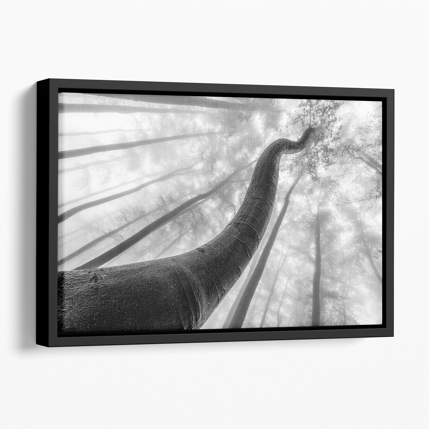 Tree Shapes Floating Framed Canvas - Canvas Art Rocks - 1