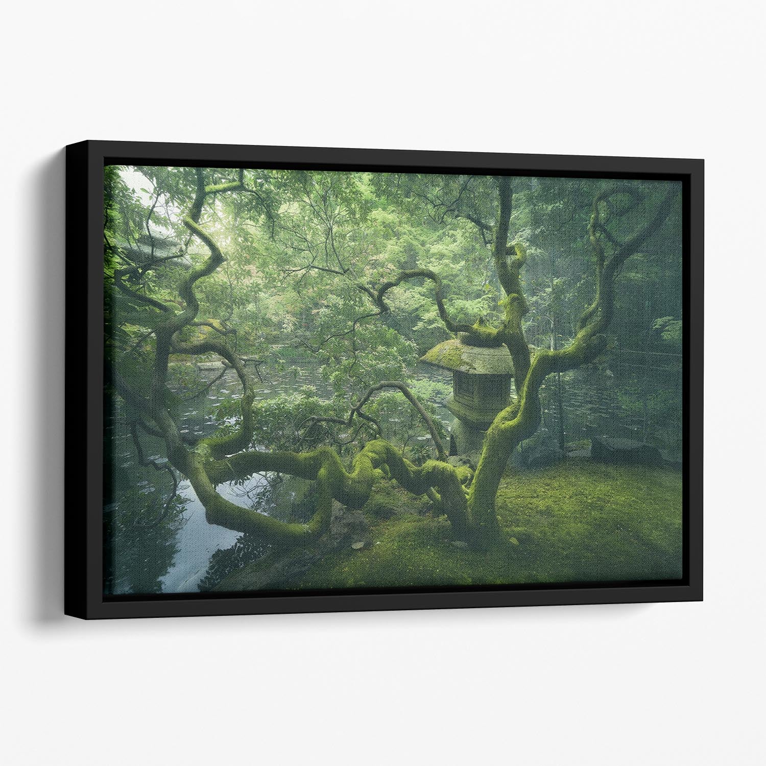Japanese Tree Floating Framed Canvas - Canvas Art Rocks - 1
