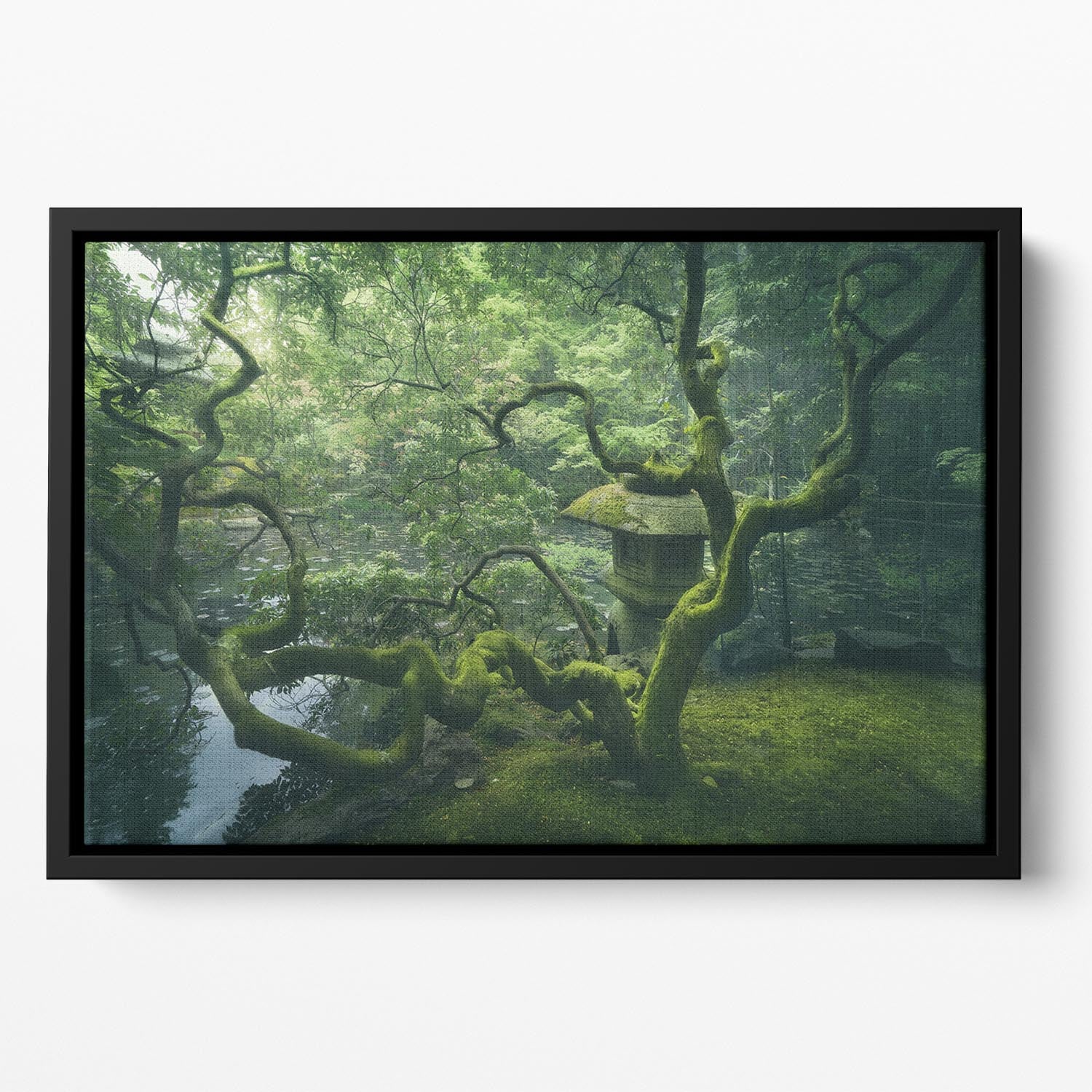 Japanese Tree Floating Framed Canvas - Canvas Art Rocks - 2