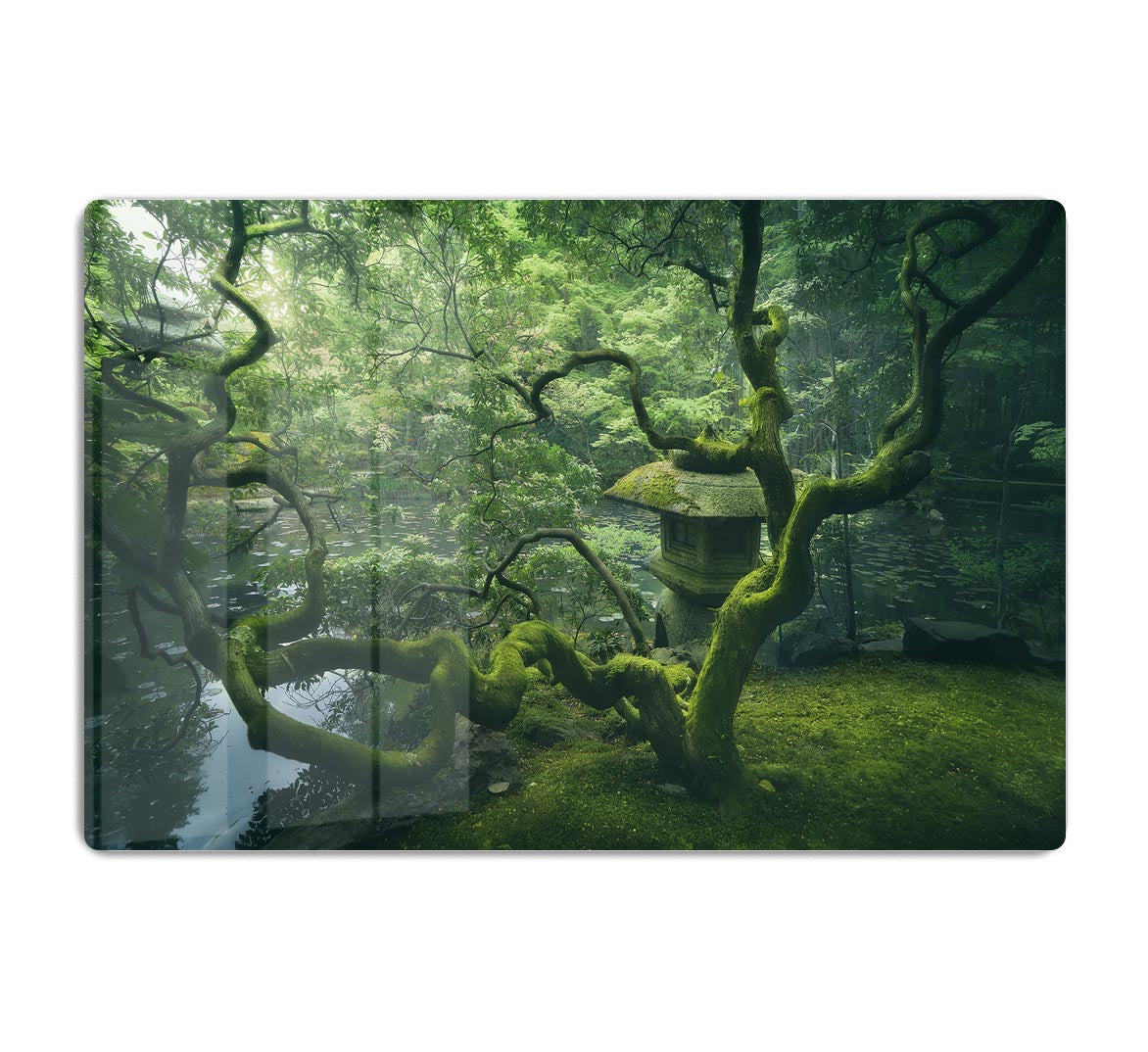 Japanese Tree HD Metal Print - Canvas Art Rocks - 1