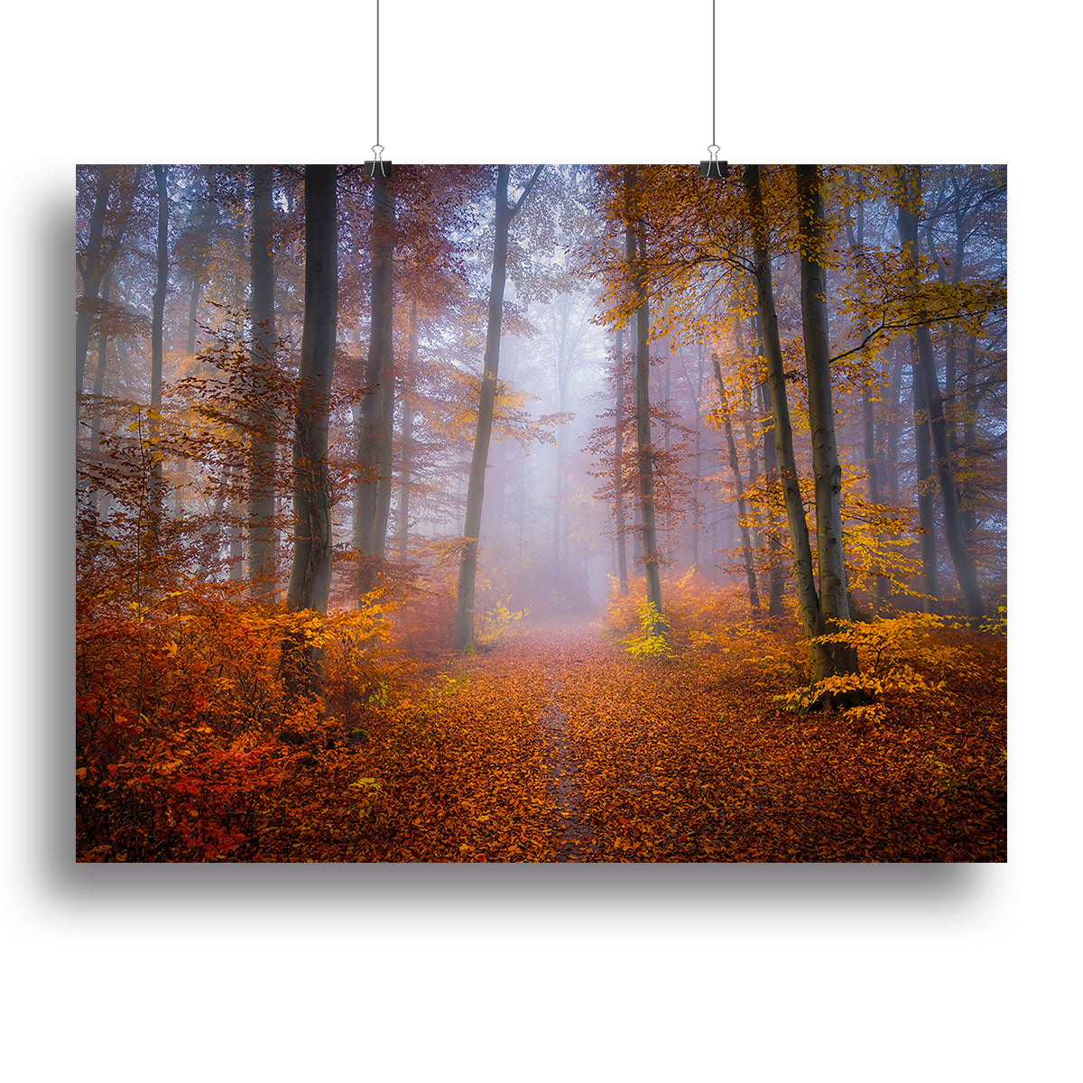 October Trail Canvas Print or Poster - Canvas Art Rocks - 2