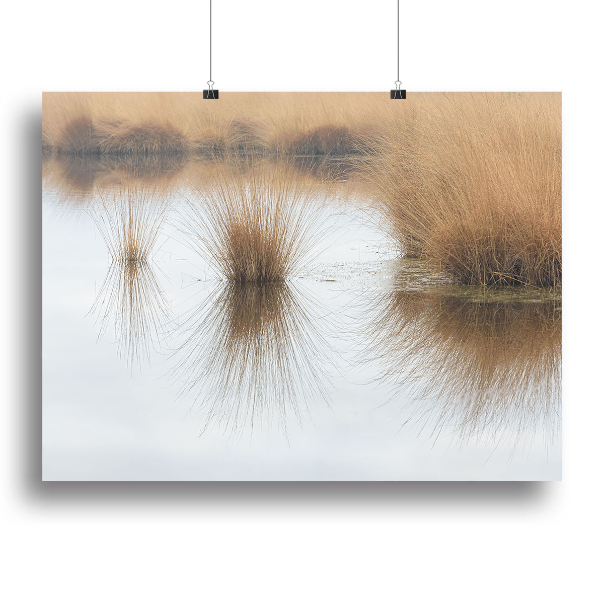 Piping Straw Canvas Print or Poster - Canvas Art Rocks - 2