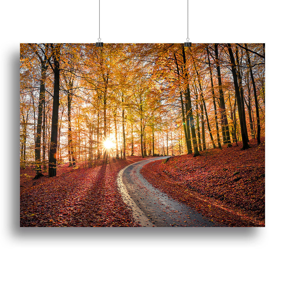 Road In Sapderaysen Nationalpark Sweden Canvas Print or Poster - Canvas Art Rocks - 2