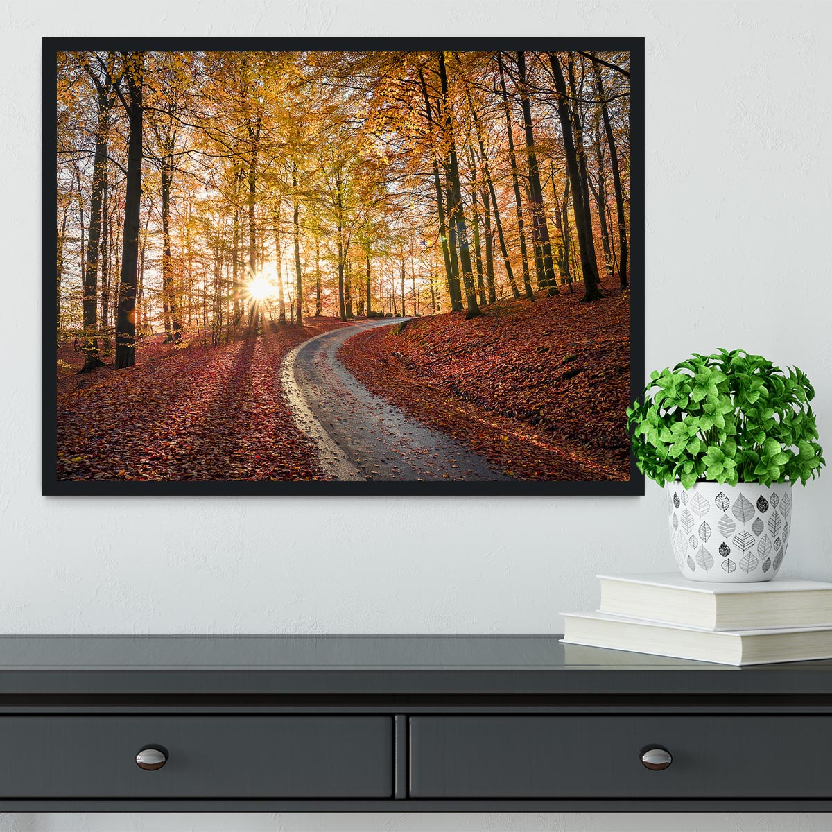 Road In Sapderaysen Nationalpark Sweden Framed Print - Canvas Art Rocks - 2