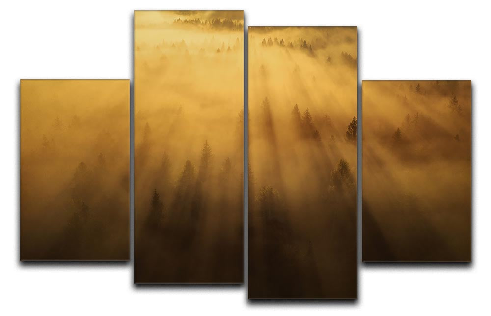 Morning In The Forest 4 Split Panel Canvas - Canvas Art Rocks - 1