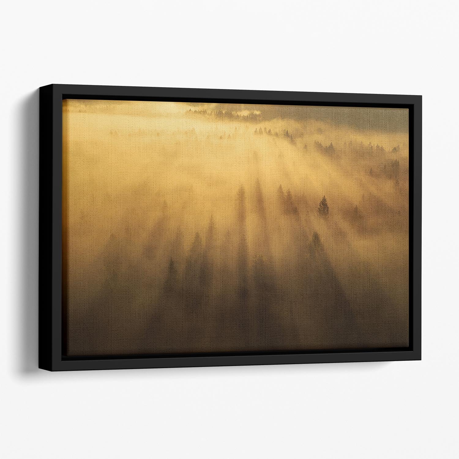 Morning In The Forest Floating Framed Canvas - Canvas Art Rocks - 1