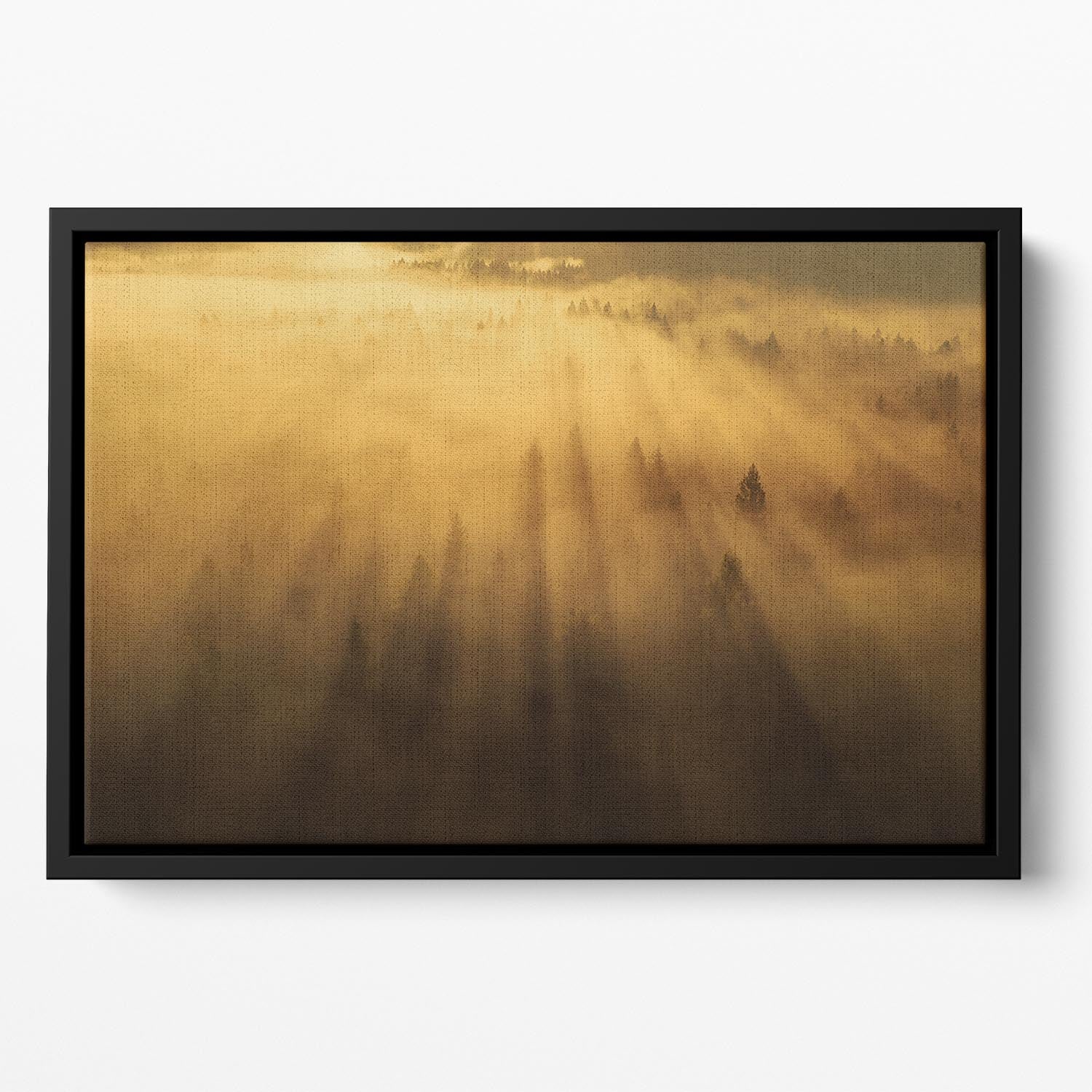 Morning In The Forest Floating Framed Canvas - Canvas Art Rocks - 2