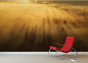 Morning In The Forest Wall Mural Wallpaper - Canvas Art Rocks - 2