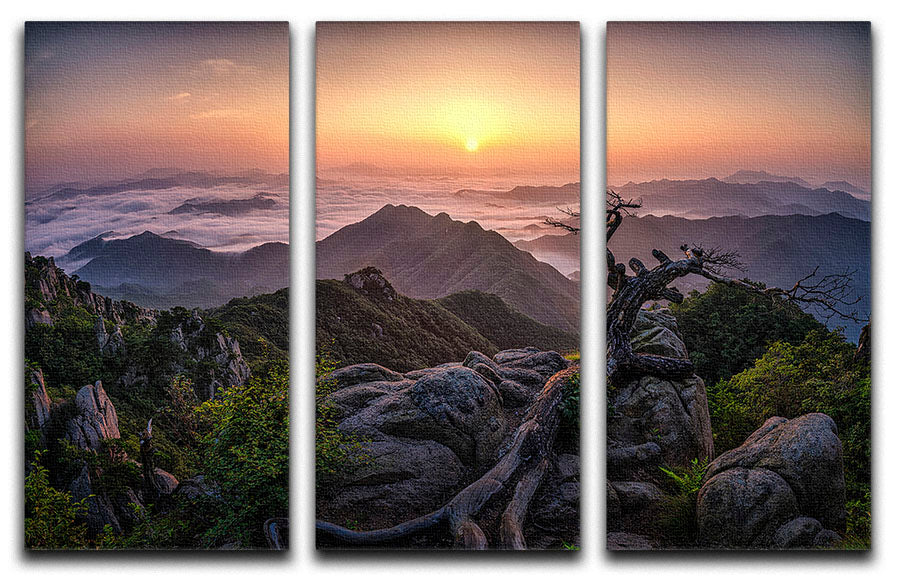 Sunrise On Top 3 Split Panel Canvas Print - Canvas Art Rocks - 1