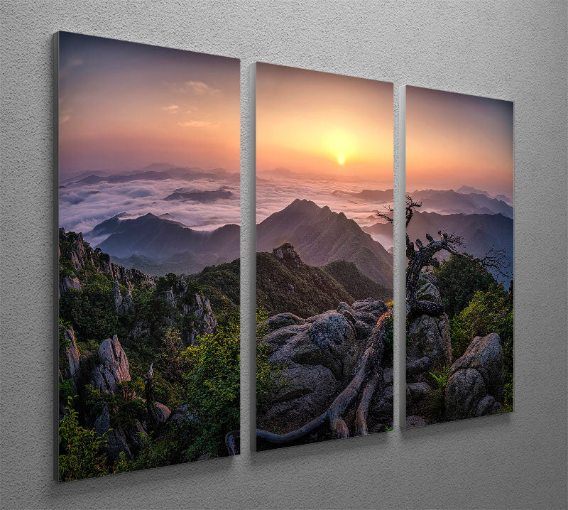 Sunrise On Top 3 Split Panel Canvas Print - Canvas Art Rocks - 2
