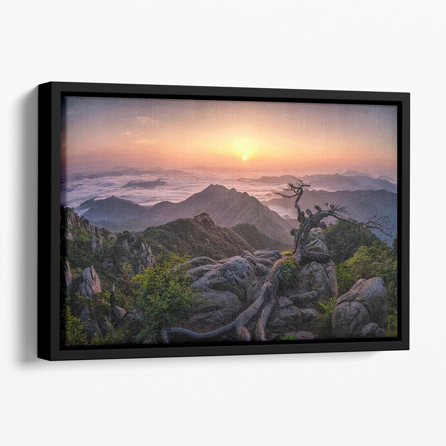 Sunrise On Top Floating Framed Canvas - Canvas Art Rocks - 1