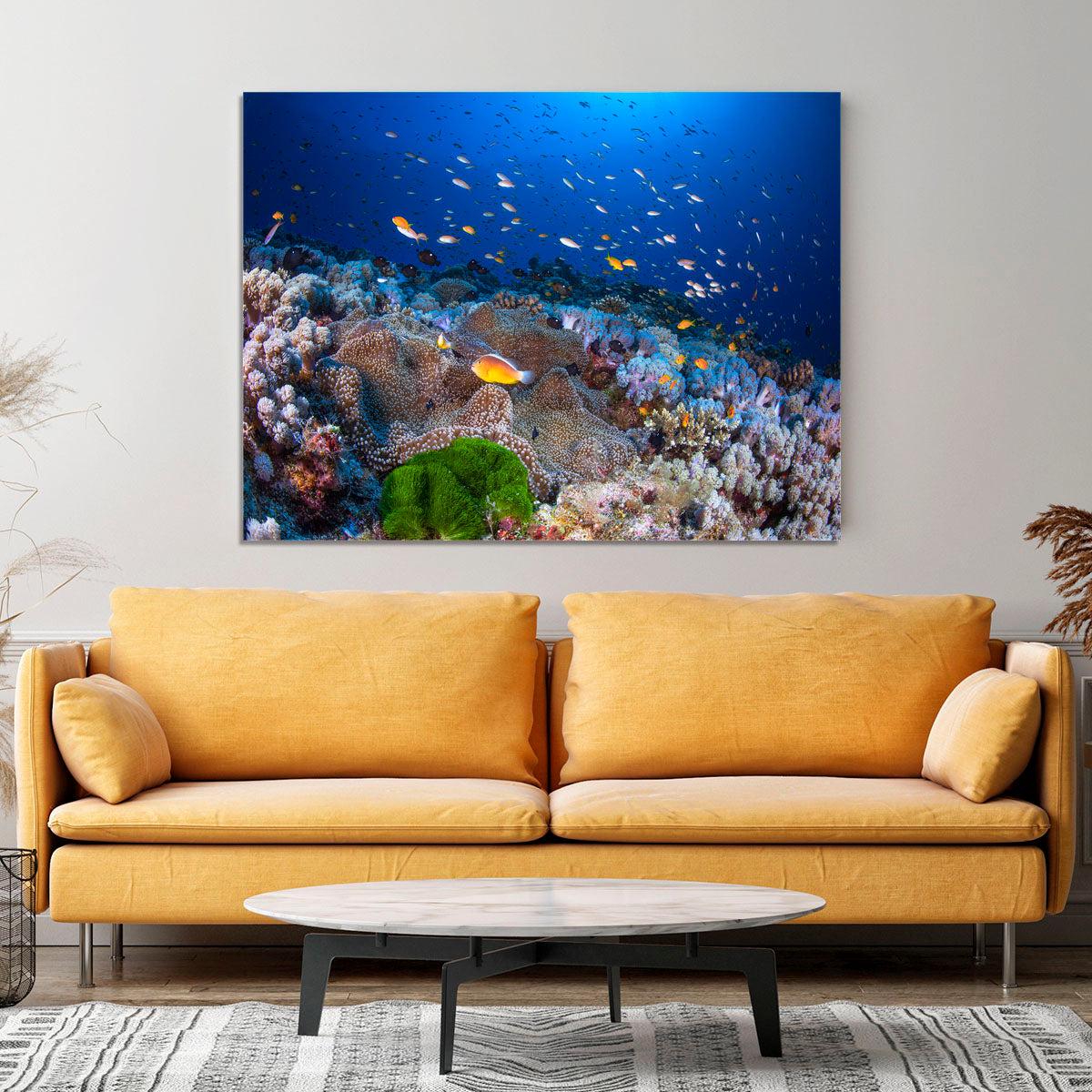 Anemon And Anthias Canvas Print or Poster - Canvas Art Rocks - 4