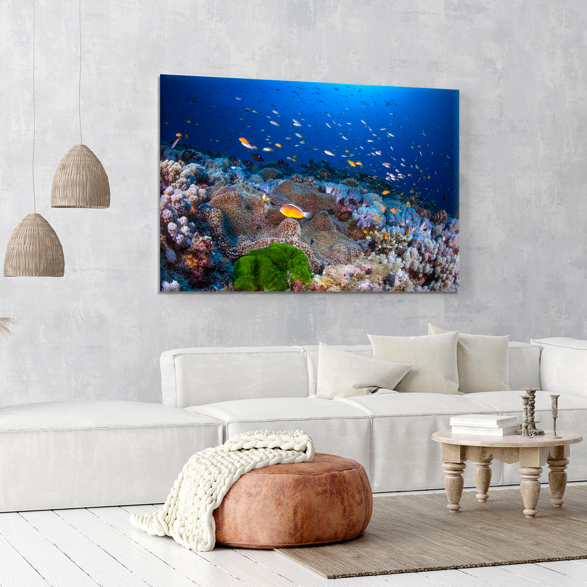 Anemon And Anthias Canvas Print or Poster - Canvas Art Rocks - 6