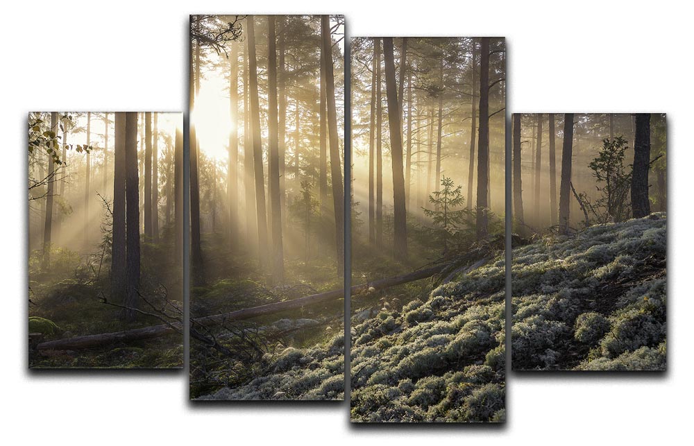 Fog In The Forest With White Moss In The Forground 4 Split Panel Canvas - Canvas Art Rocks - 1