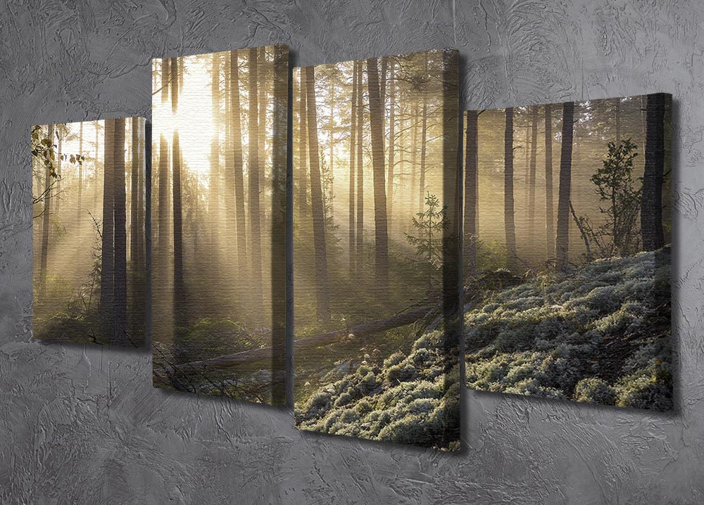 Fog In The Forest With White Moss In The Forground 4 Split Panel Canvas - Canvas Art Rocks - 2