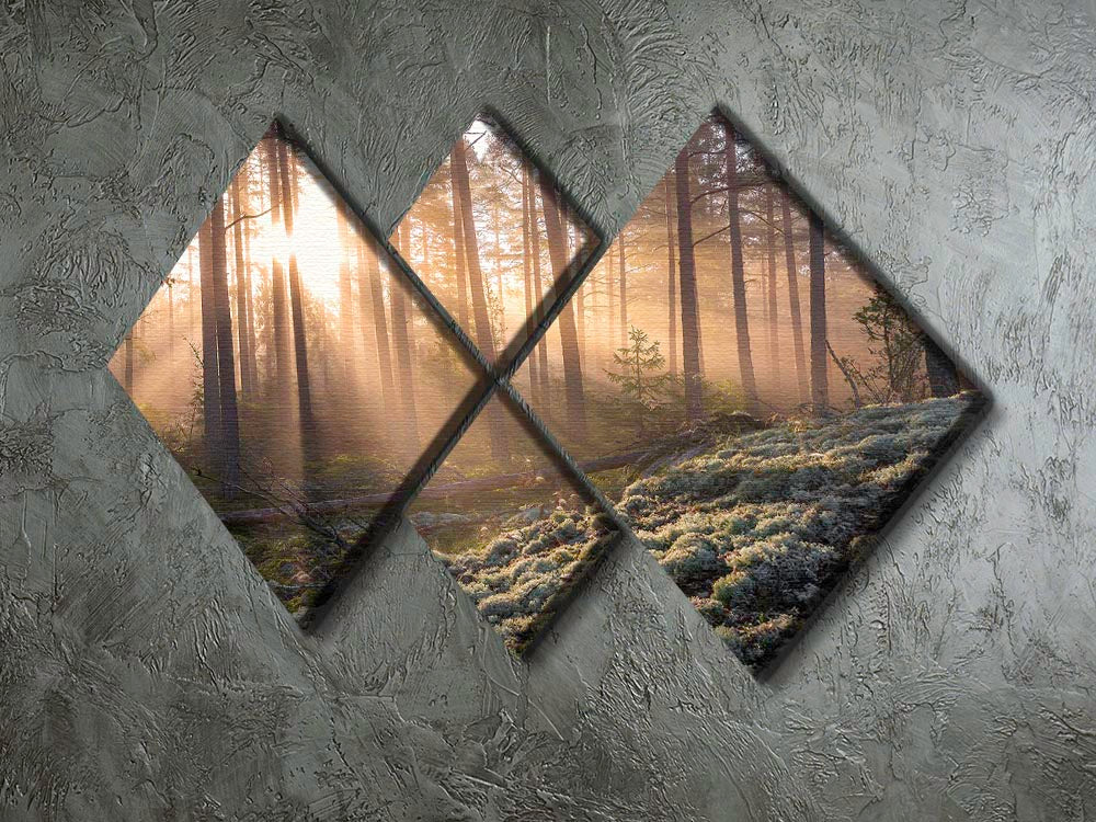 Fog In The Forest With White Moss In The Forground 4 Square Multi Panel Canvas - Canvas Art Rocks - 2