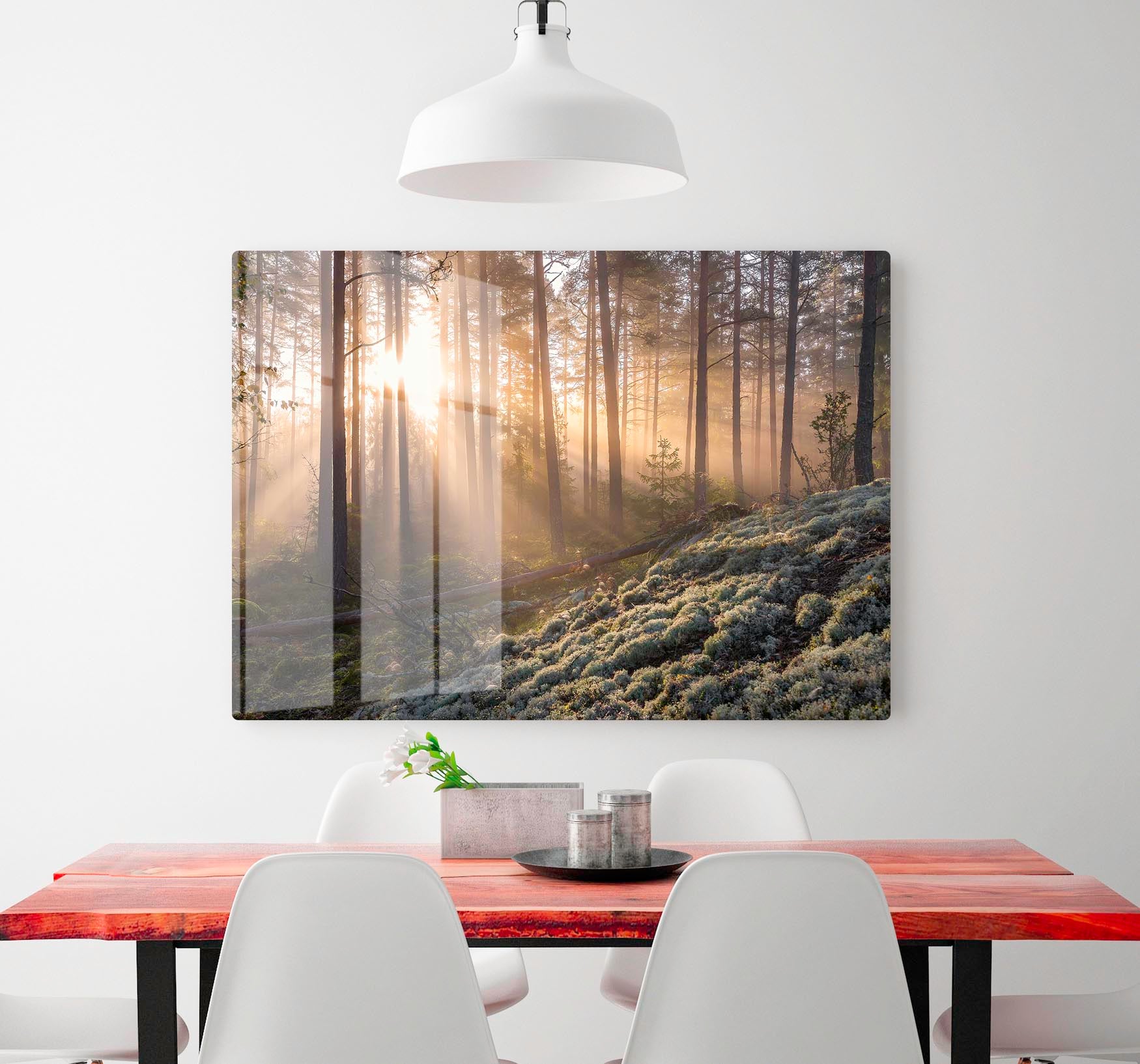 Fog In The Forest With White Moss In The Forground HD Metal Print - Canvas Art Rocks - 2